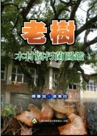 美的預備生